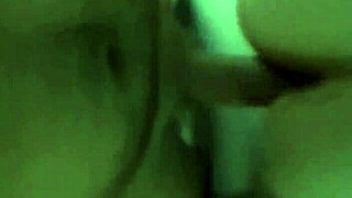 Manos enjoys feline companionship in European settings