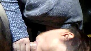 Detailed Scene of a Young Woman Performing Oral Sex