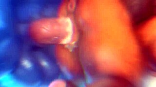 Edited furry zonkpunch with various scenes