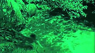 dark lantern entertainment brings dragonfly freddie in hairy vintage close-up