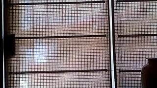 Sister Twerking Her Ass Like a Prostitute in Intriguing Moves