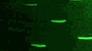 Slutty Wife Cheats with Wild Fucking in Every Tight Hole for Raw Pleasure