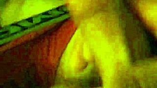 Homemade amateur video from November 29, 2014