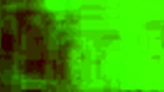 Homemade amateur video from November 29, 2014