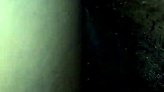 A video clip from March 31, 2017, at 01:29:48
