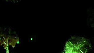 compilation of walking naked while hiking outdoors