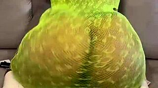 ass fat update 70 from 2023-09-07t16 52 41 000z