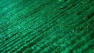 They lick her balls then tag team her shaved pussy with monster cocks.