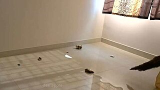 The indian maid enjoys a fun time with her devar in a lighthearted story