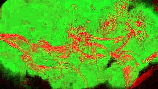 Succubus Frost Onoskelis Engages In Bisexual Sex In The Game