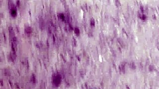 look at these dirty calloused soles, perfect for your foot fetish