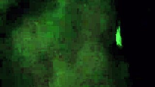 Homemade Couple Fucks And Cums In Slut Wife's Mouth