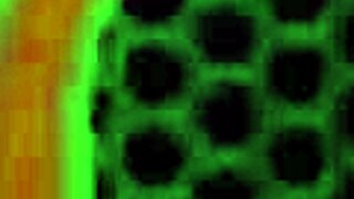 feet fetish alice green got her soles licked and sucked 😍