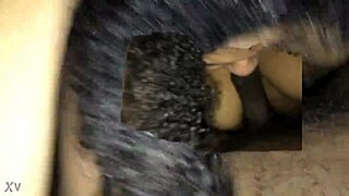 bbw babe sucks fat cock in casual scene