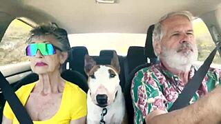 We drive around east oahu while chatting about things sexual