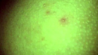 Rough Fucked By My Bull While My Cuckold Waits For His Turn Outside The Room And Then He Creampies Me Too