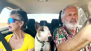 We drive around east oahu while chatting about things sexual