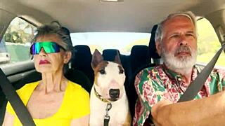 We drive around east oahu while chatting about things sexual