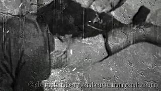 what secrets hide in dark lantern entertainment's vintage life?