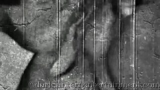 what secrets hide in dark lantern entertainment's vintage life?