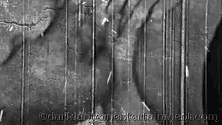 what secrets hide in dark lantern entertainment's vintage life?