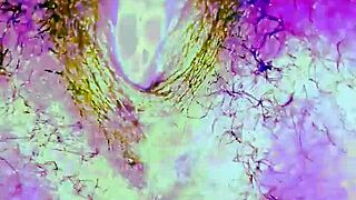 Out of This World Ebony Masturbation 2