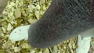 Stop hiking and cum inside me in outdoor park sex