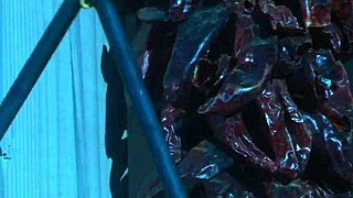 Brooke Ballentyne Still Has Her Riding Chaps On As She Gets Creampied