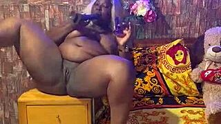 sundaydogood614 - update 318 - vid 20240715 143701 - jul 15 2024