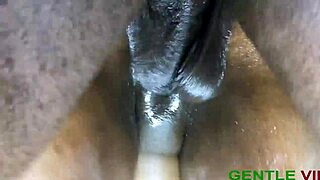 Ebony enjoys a long encounter