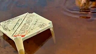 I got caught flashing and having wild sex with my boyfriend in the mangrove