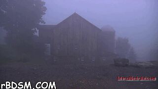 Free Sadomasochism Videos