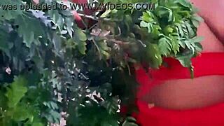 Evangelical Neighbor Picks Fruits in Outdoor Setting