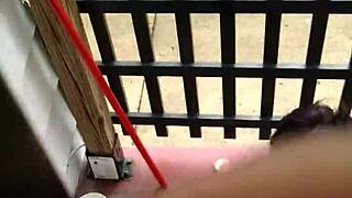 purpel 349 features intense blowjob action