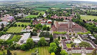 Pov - Tiffany Tatum Gobbles Your Dick in Outdoor Scene