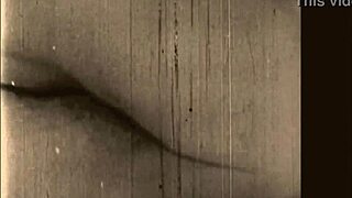 Vintage Erotic Art Antique Retro Collection.