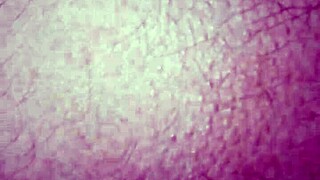 20160816 013037 with Lady