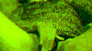 Single Vergon Me Abri� De Patitas Y Me La Dejo Ir Toda