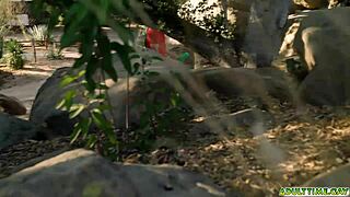 Michael and Roman say, 'Let's double down'