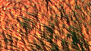 nelly enjoys a fun session and has multiple laughs in honey select 2