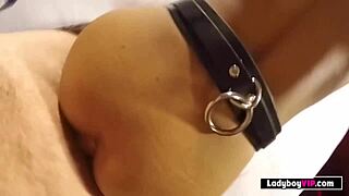 Awesome Looking Thin Asian Ladyboy Chick Rough Fucked