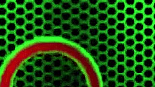 Does Ben English eat pussy before deepthroat and doggystyle riding?