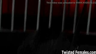 You are nothing to me.