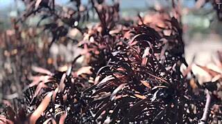 Mistress April humiliates slave with cupcake and toes in nylon leggings