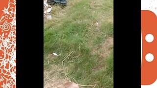 flashing dick on ometv in casual chat