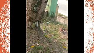 flashing dick on ometv in casual chat