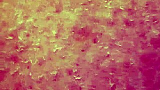 Look at Her Masturbating So Passionately!