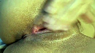 the story of a perfect brazilian girl in everyday life