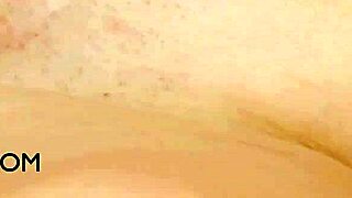 Stunning brunette model poses elegantly