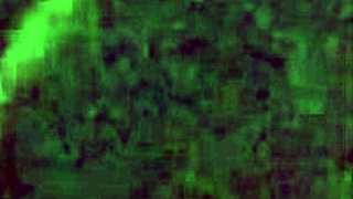 daddy pounding that hairy pussy hard